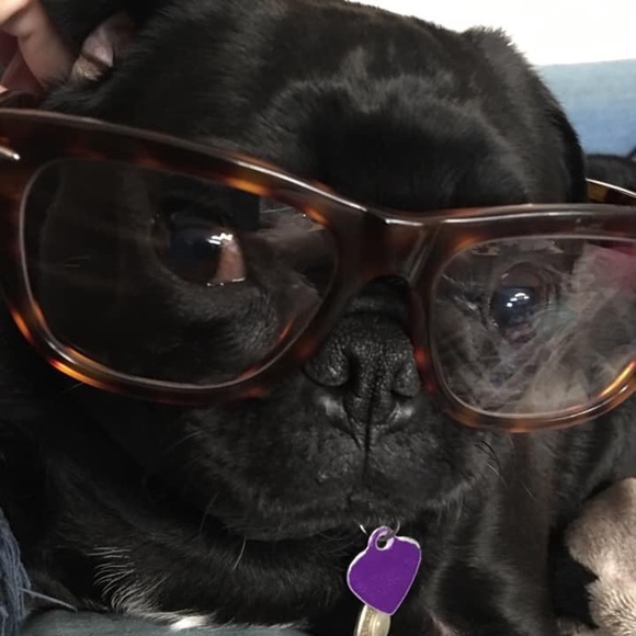 Meet your Posher, Cory - Picture 1 of 1